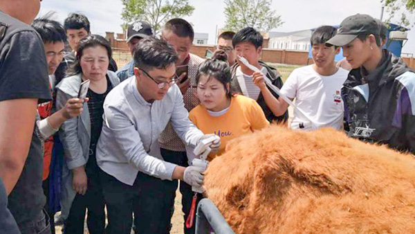 內蒙古呼倫貝爾市貝爾蘇木畜牧獸醫站-愛牧多案例